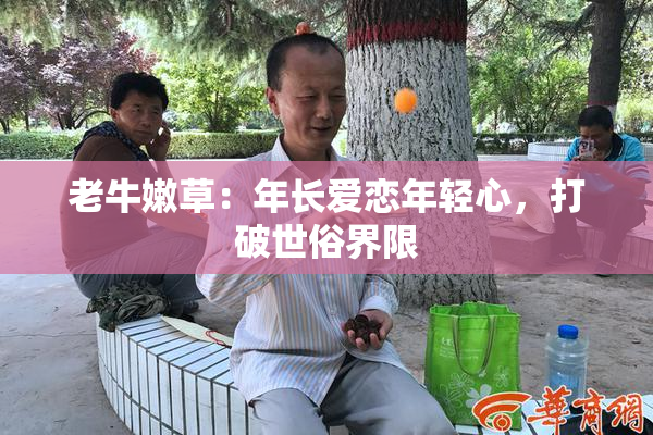 老牛嫩草：年长爱恋年轻心，打破世俗界限
