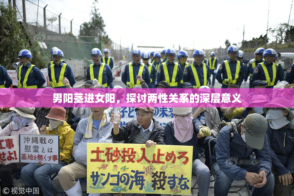 男阳茎进女阳，探讨两性关系的深层意义