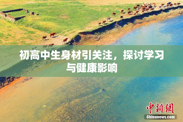 初高中生身材引关注，探讨学习与健康影响
