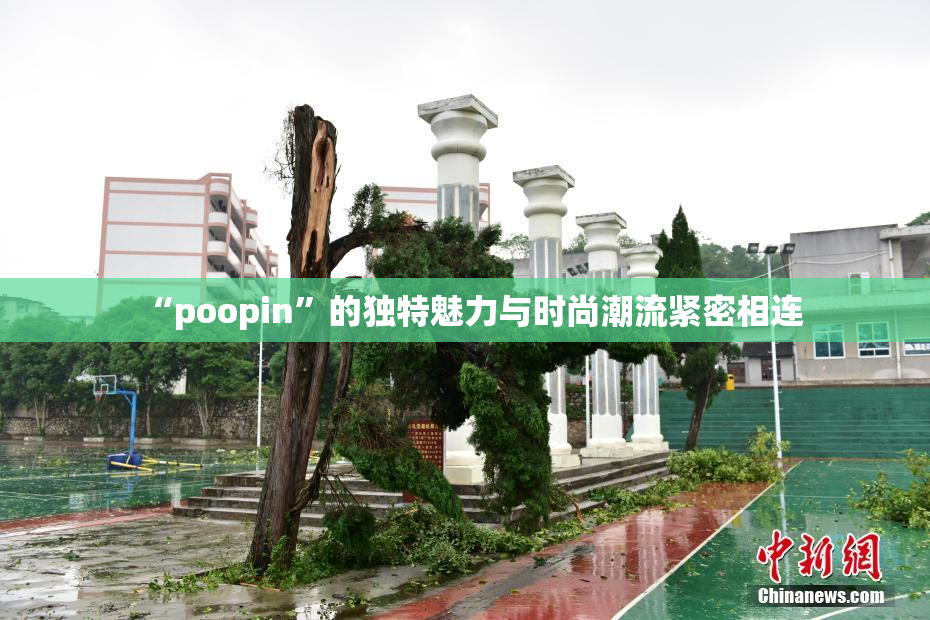 “poopin”的独特魅力与时尚潮流紧密相连