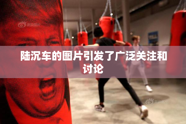 陆沉车的图片引发了广泛关注和讨论