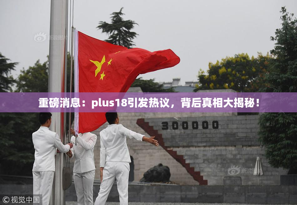 重磅消息：plus18引发热议，背后真相大揭秘！