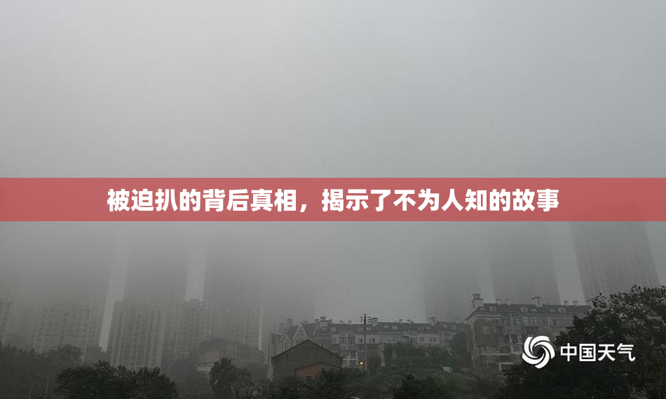 被迫扒的背后真相，揭示了不为人知的故事