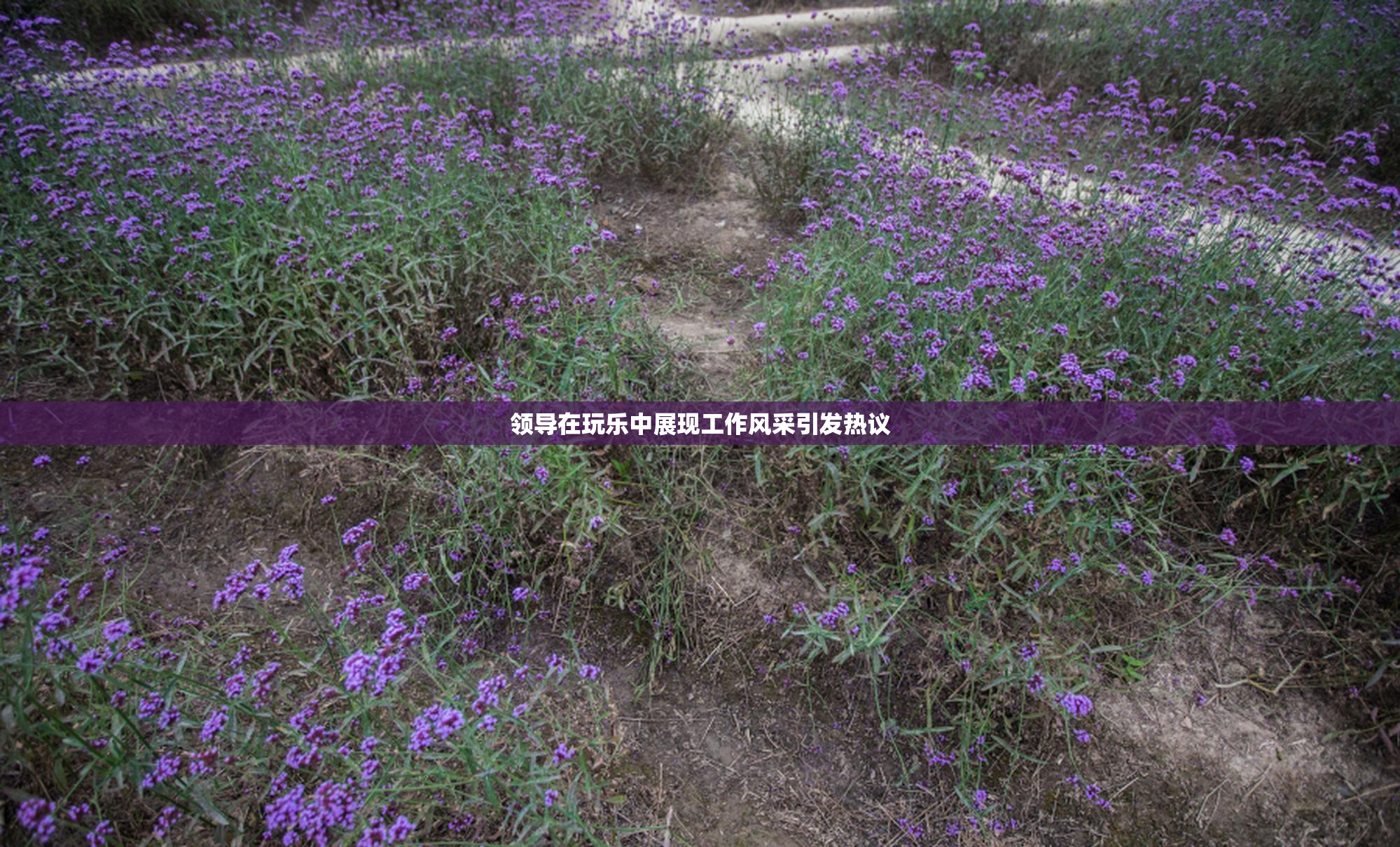 领导在玩乐中展现工作风采引发热议