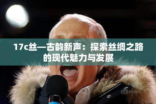 17c丝—古韵新声：探索丝绸之路的现代魅力与发展