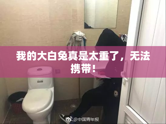 我的大白兔真是太重了，无法携带！