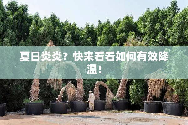 夏日炎炎？快来看看如何有效降温！