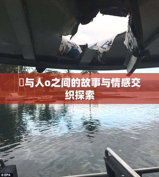 嘼与人o之间的故事与情感交织探索