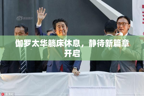 伽罗太华躺床休息，静待新篇章开启
