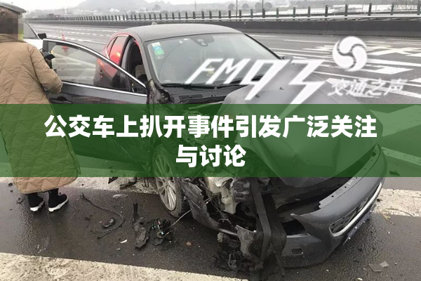 公交车上扒开事件引发广泛关注与讨论