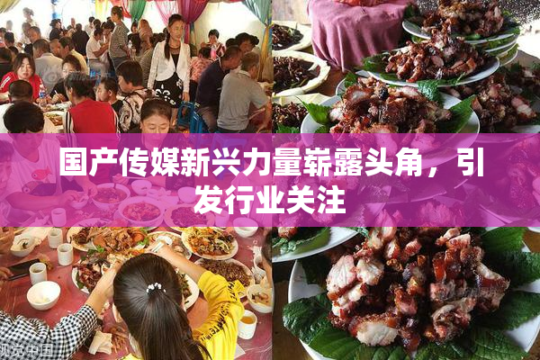 国产传媒新兴力量崭露头角，引发行业关注