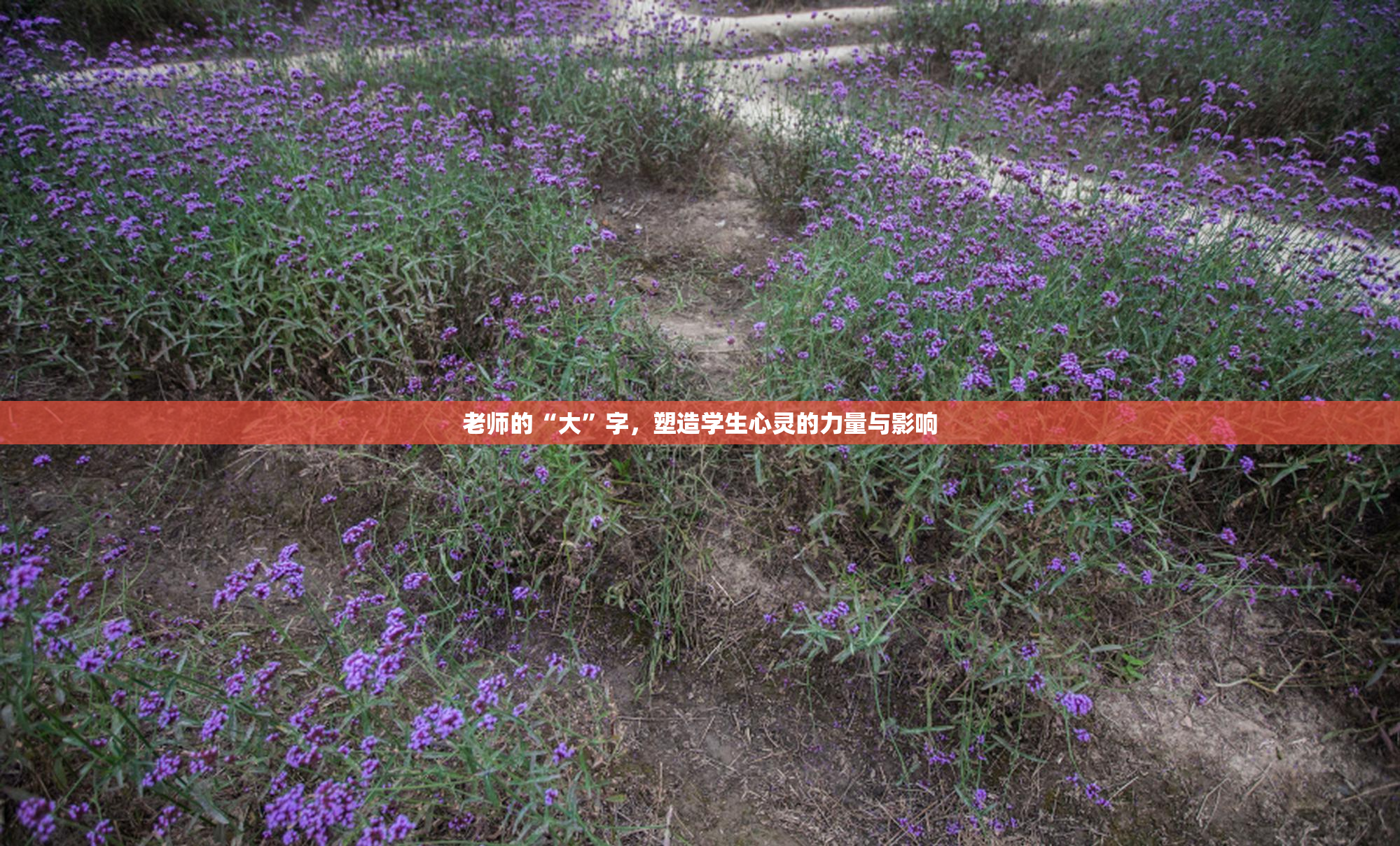 老师的“大”字，塑造学生心灵的力量与影响