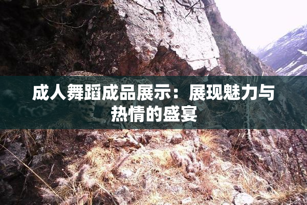 成人舞蹈成品展示：展现魅力与热情的盛宴