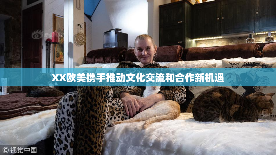 XX欧美携手推动文化交流和合作新机遇