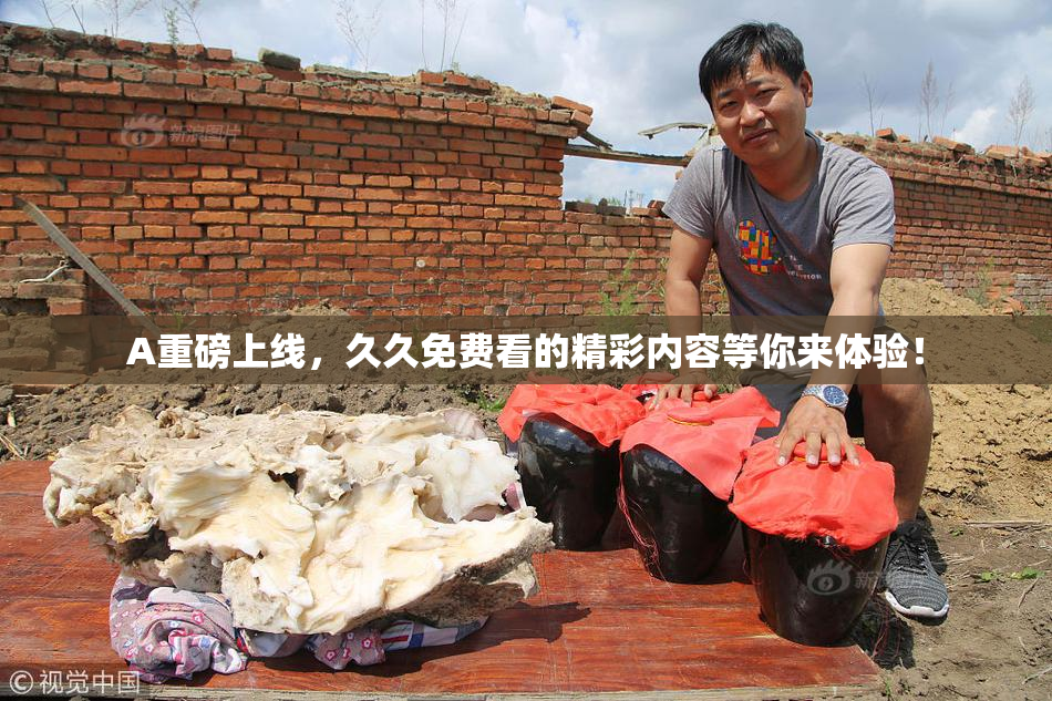 A重磅上线，久久免费看的精彩内容等你来体验！
