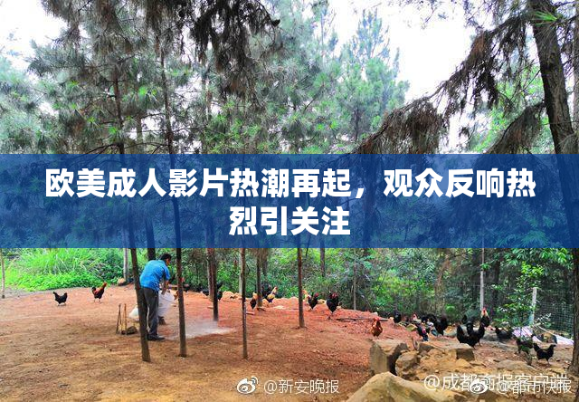 欧美成人影片热潮再起，观众反响热烈引关注