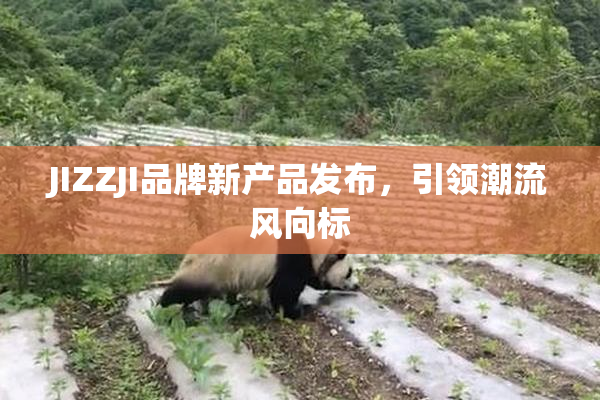 JIZZJI品牌新产品发布，引领潮流风向标