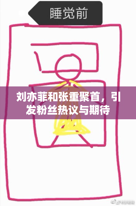 刘亦菲和张重聚首，引发粉丝热议与期待