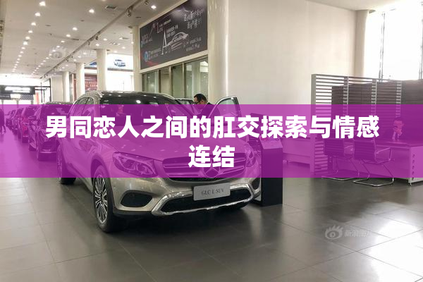 男同恋人之间的肛交探索与情感连结