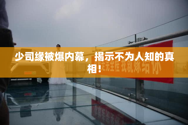 少司缘被爆内幕，揭示不为人知的真相！