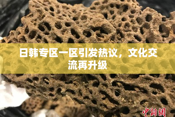 日韩专区一区引发热议，文化交流再升级