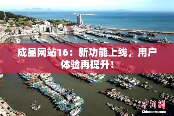 成品网站16：新功能上线，用户体验再提升！