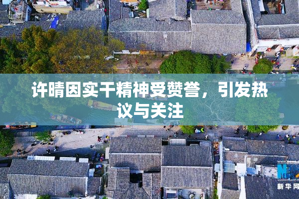 许晴因实干精神受赞誉，引发热议与关注