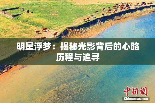 明星浮梦：揭秘光影背后的心路历程与追寻