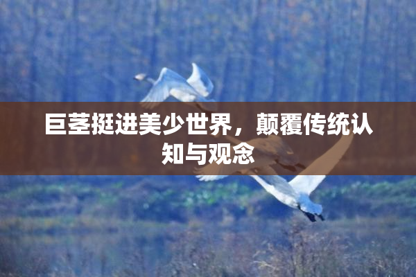 巨茎挺进美少世界，颠覆传统认知与观念