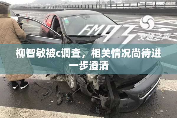 柳智敏被c调查，相关情况尚待进一步澄清