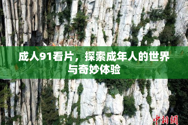 成人91看片，探索成年人的世界与奇妙体验