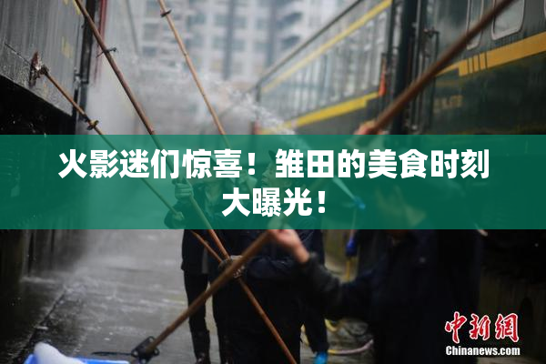 火影迷们惊喜！雏田的美食时刻大曝光！