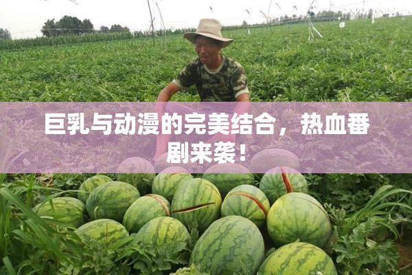 巨乳与动漫的完美结合，热血番剧来袭！