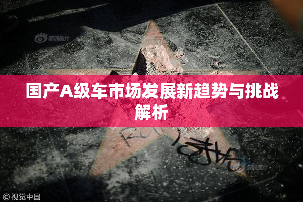 国产A级车市场发展新趋势与挑战解析