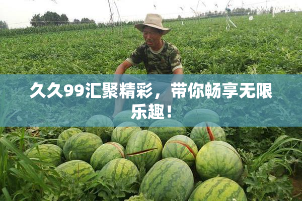 久久99汇聚精彩，带你畅享无限乐趣！