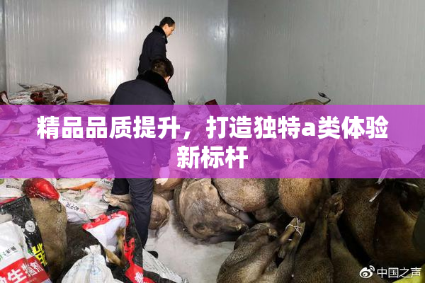 精品品质提升，打造独特a类体验新标杆