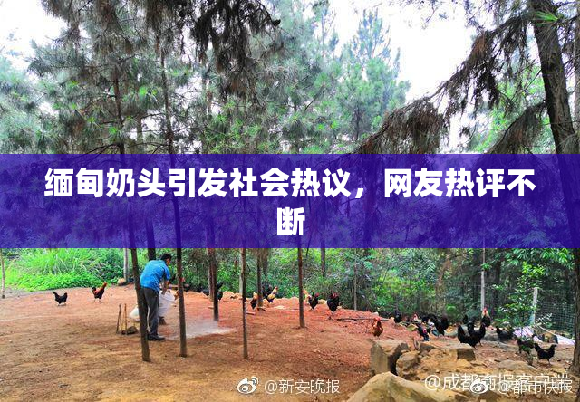 缅甸奶头引发社会热议，网友热评不断
