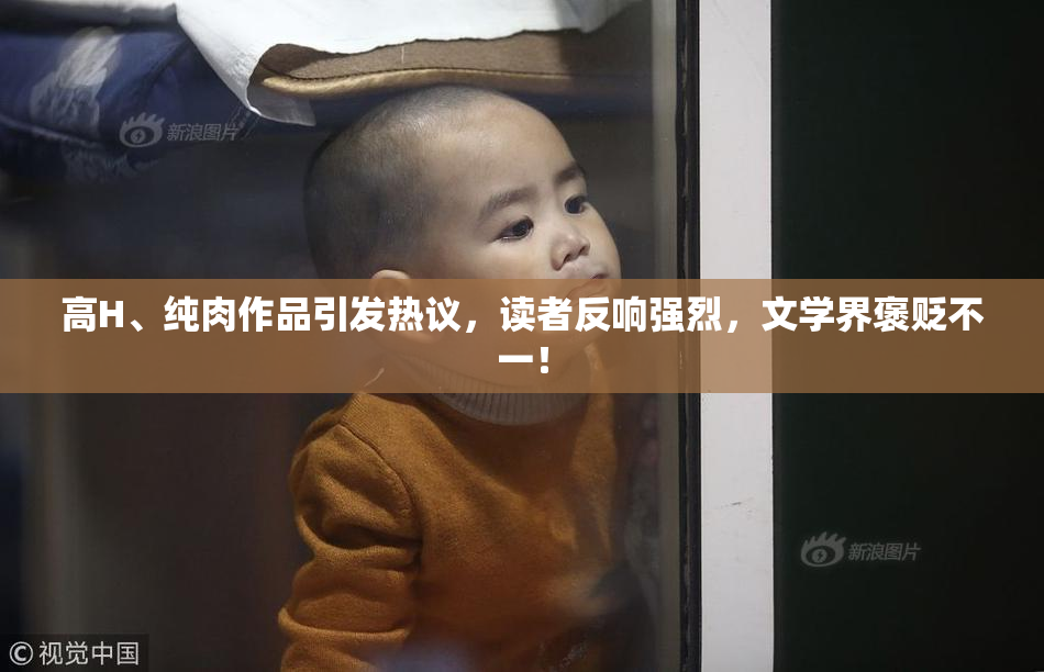 高H、纯肉作品引发热议，读者反响强烈，文学界褒贬不一！