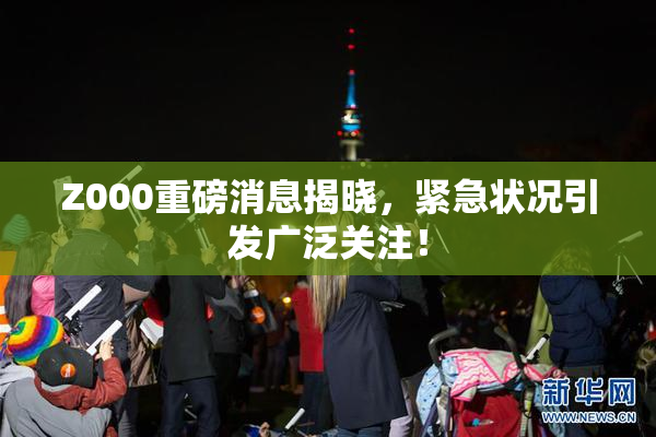 Z000重磅消息揭晓，紧急状况引发广泛关注！