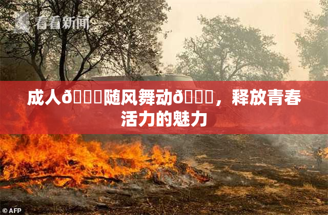 成人🍆随风舞动🍑，释放青春活力的魅力