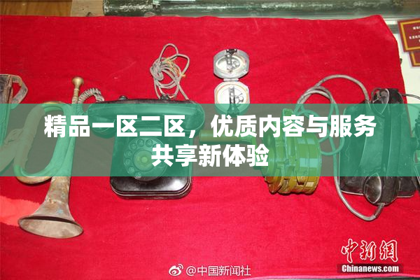 精品一区二区，优质内容与服务共享新体验