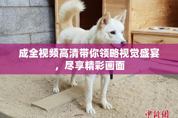 成全视频高清带你领略视觉盛宴，尽享精彩画面