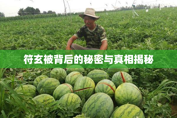 符玄被背后的秘密与真相揭秘
