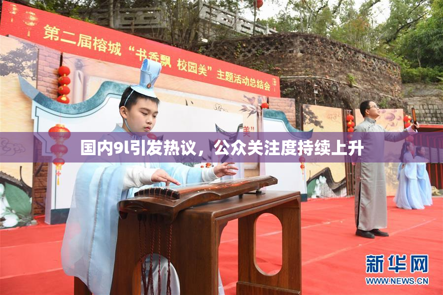 国内9l引发热议，公众关注度持续上升