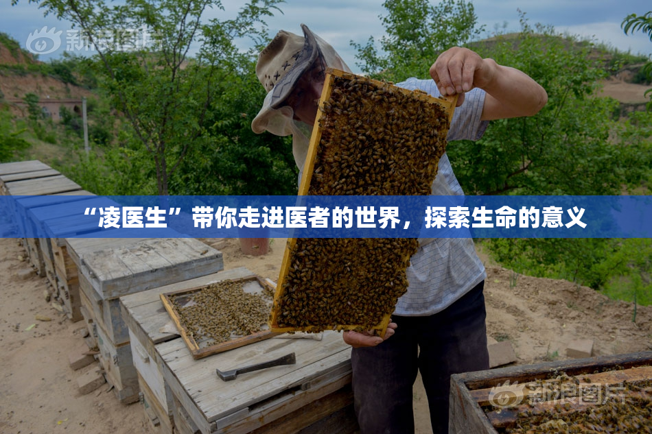 “凌医生”带你走进医者的世界，探索生命的意义