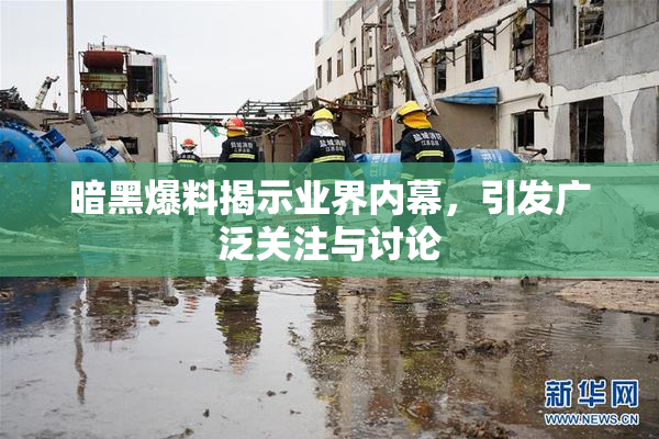 暗黑爆料揭示业界内幕，引发广泛关注与讨论