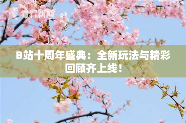 B站十周年盛典：全新玩法与精彩回顾齐上线！