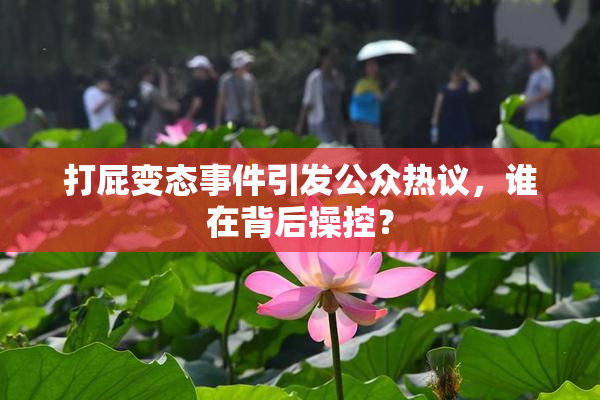 打屁变态事件引发公众热议，谁在背后操控？
