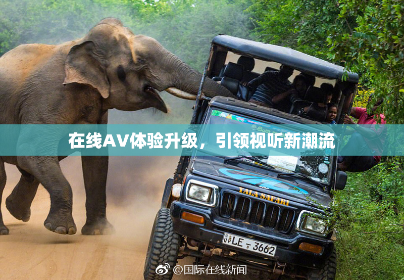 在线AV体验升级，引领视听新潮流