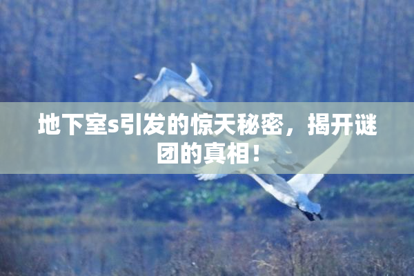 地下室s引发的惊天秘密，揭开谜团的真相！